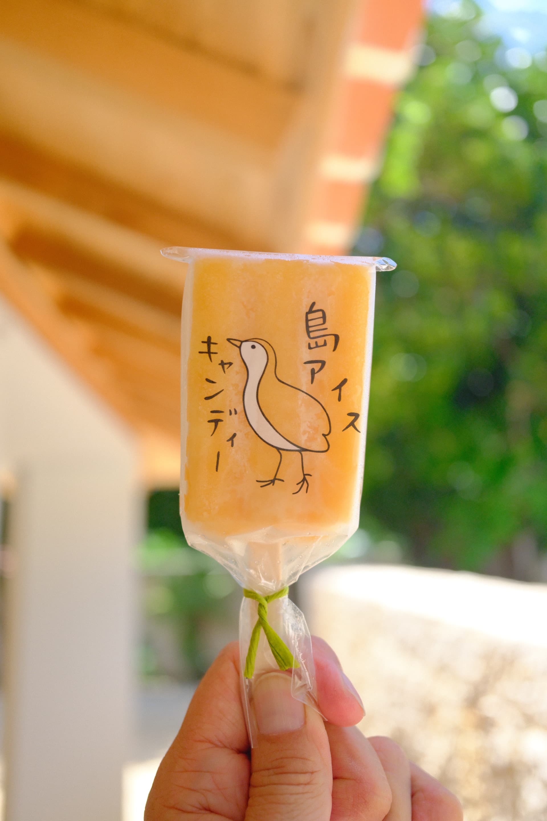 チドリのパッケージに包まれた、ぱいぬしま氷菓のマンゴーアイスキャンディー