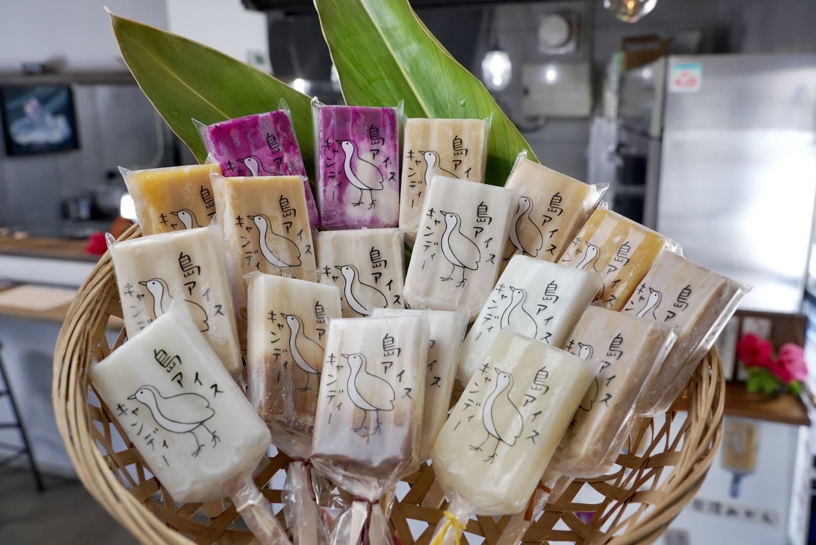 18本おまかせセットを白保の海で